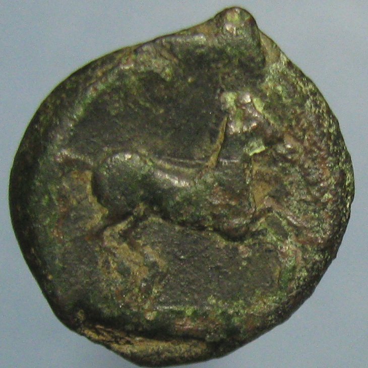 Ae-16-With-Bust-And-Horse---Macedon?--Carthage?--Or?
